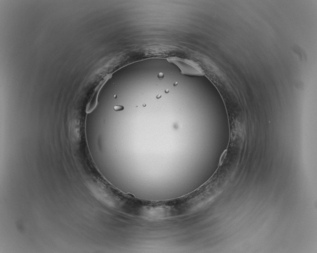X0000111490452200907141242