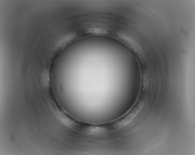 X0000111490453200907141242