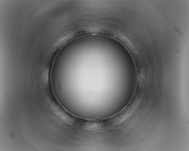 X0000111490454200907141242