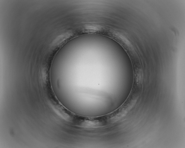 X0000111490455200907141242