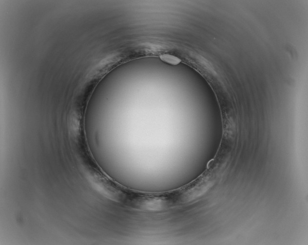 X0000111490456200907141242