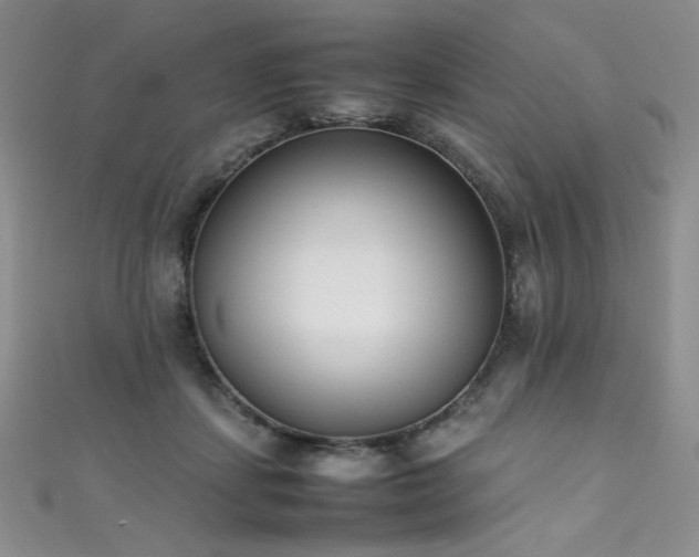 X0000111490459200907141242