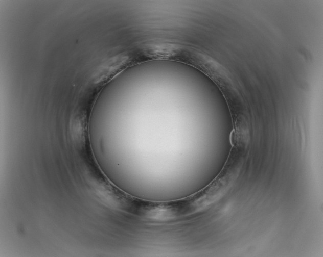 X0000111490460200907141242