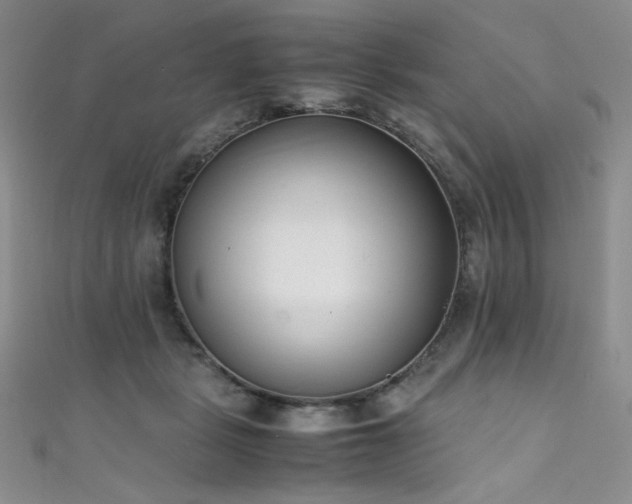 X0000111490461200907141242