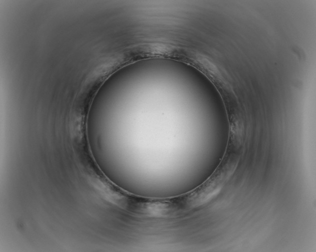 X0000111490462200907141242