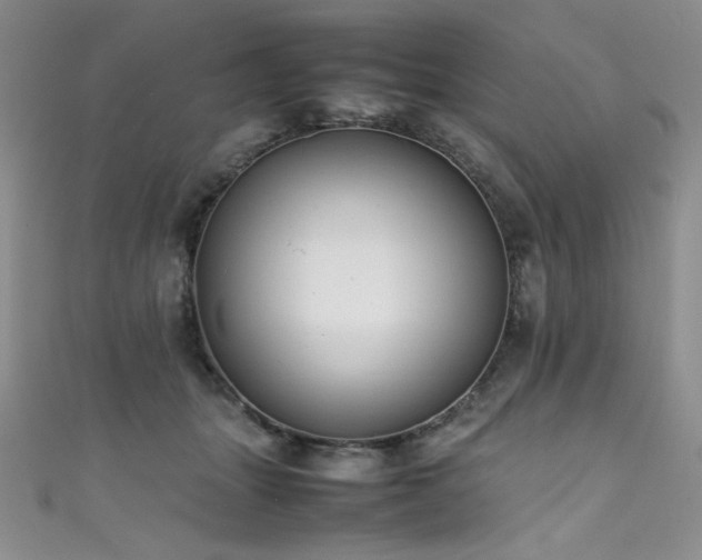 X0000111490463200907141242