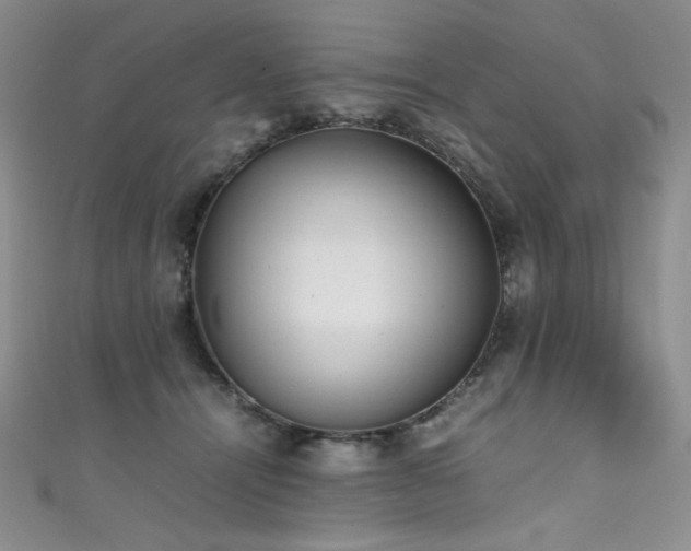 X0000111490464200907141242