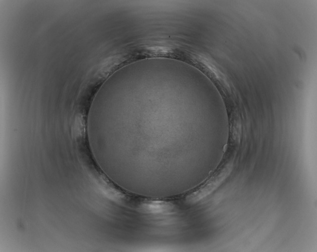 X0000111490467200907141242
