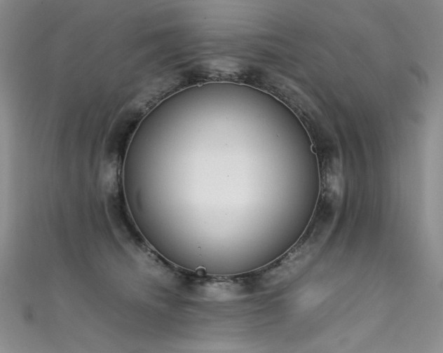 X0000111490468200907141242
