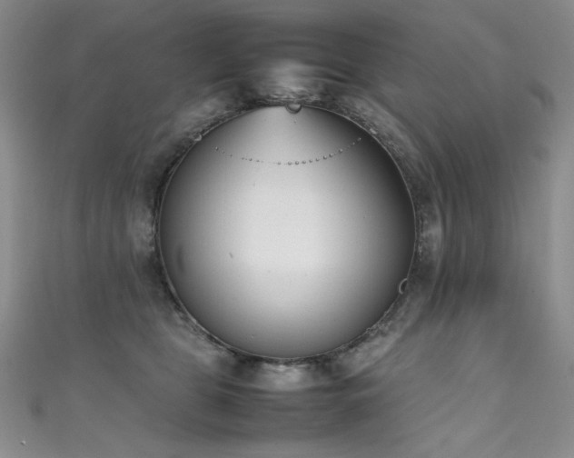 X0000111490469200907141242