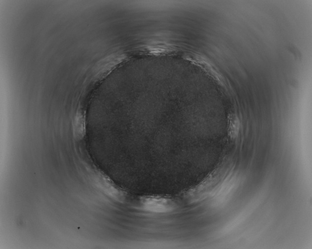 X0000111490471200907141242