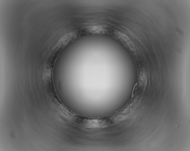 X0000111490473200907141242