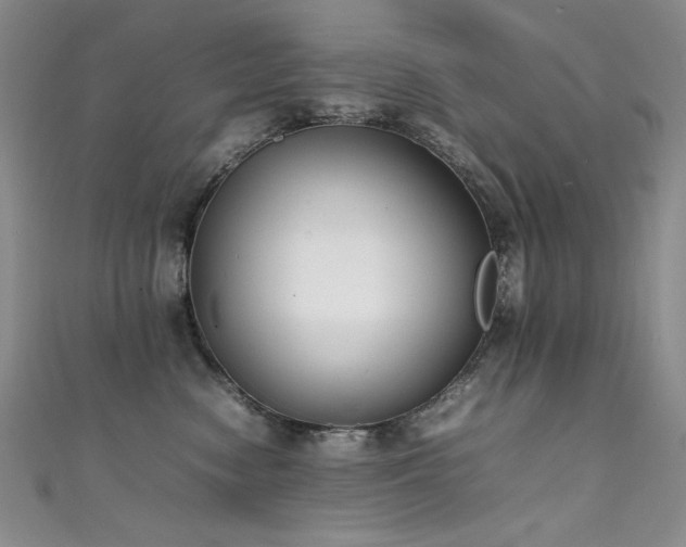 X0000111490474200907141242