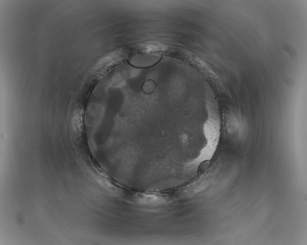 X0000111490475200907141242