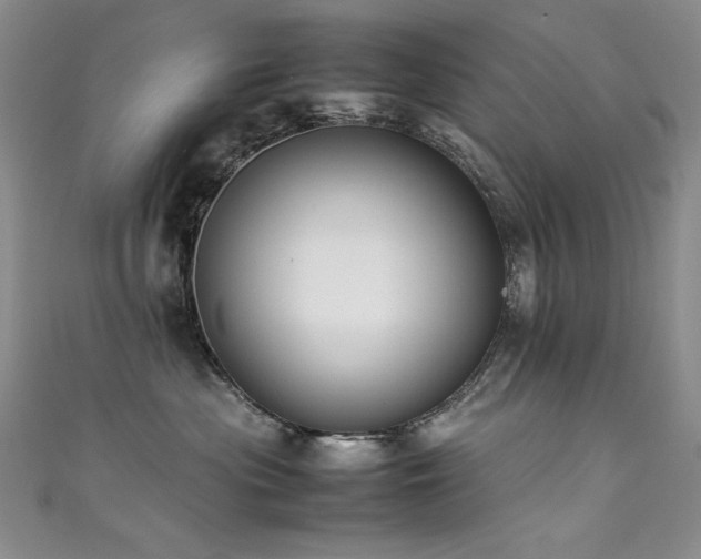 X0000111490477200907141242