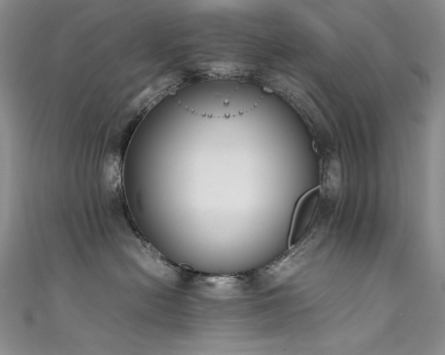 X0000111490478200907141242