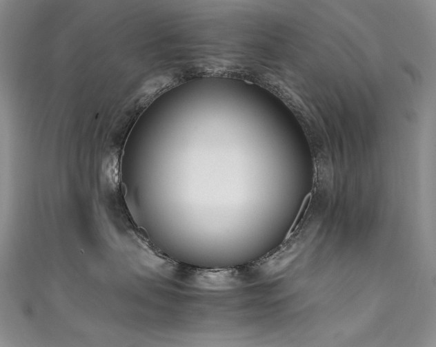 X0000111490479200907141242