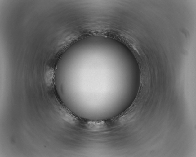 X0000111490480200907141242