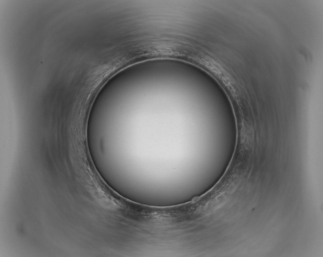 X0000111490481200907141242
