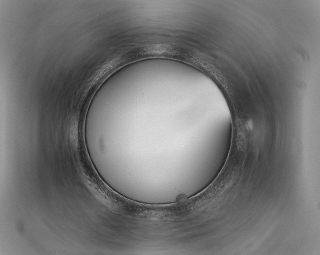 X0000111490482200907141241