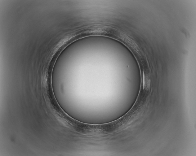 X0000111490483200907141241