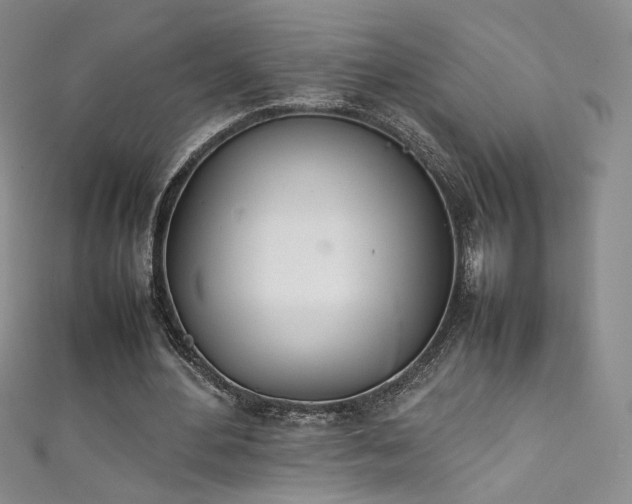 X0000111490484200907141241