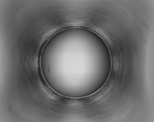 X0000111490486200907141241