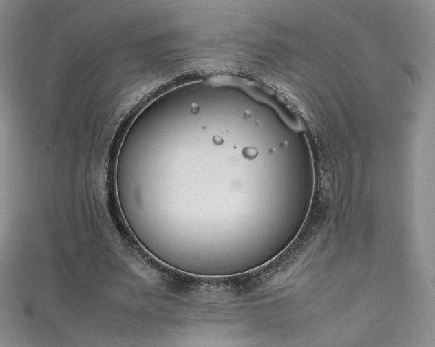 X0000111490487200907141241