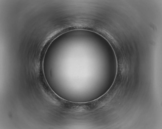 X0000111490488200907141241