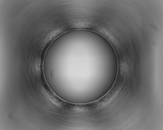 X0000111490490200907141241