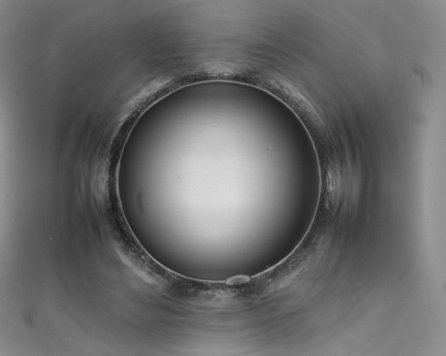 X0000111490492200907141241