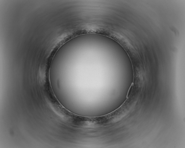 X0000111490496200907141241