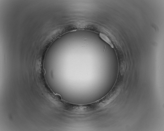 X0000111490497200907141241
