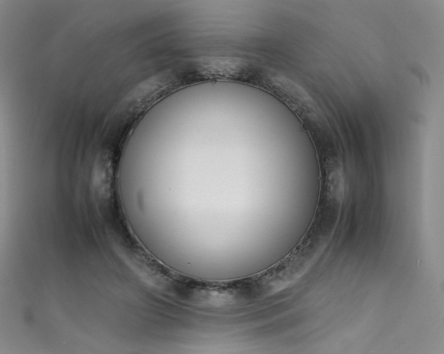X0000111490498200907141241