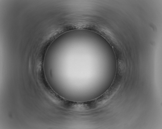 X0000111490499200907141241