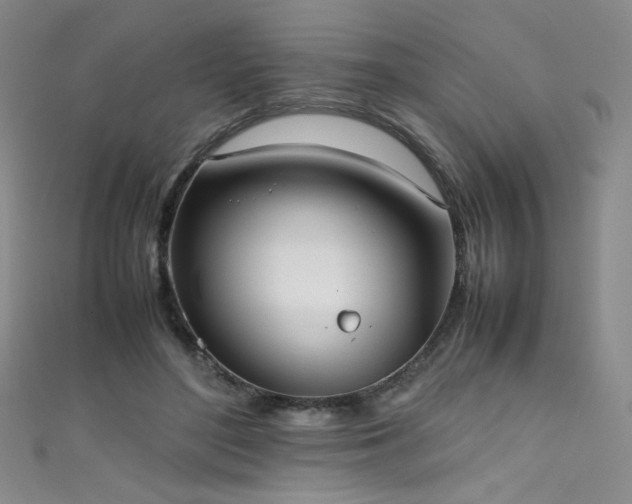 X0000111490500200907141241