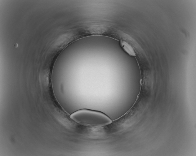 X0000111490501200907141241