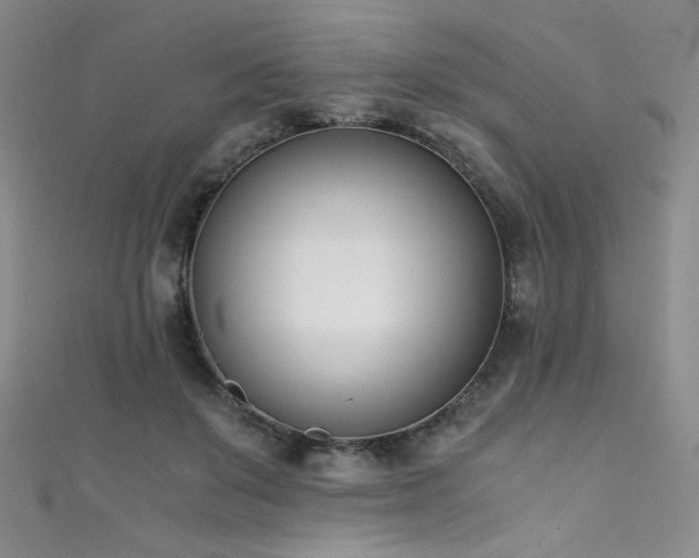 X0000111490503200907141241