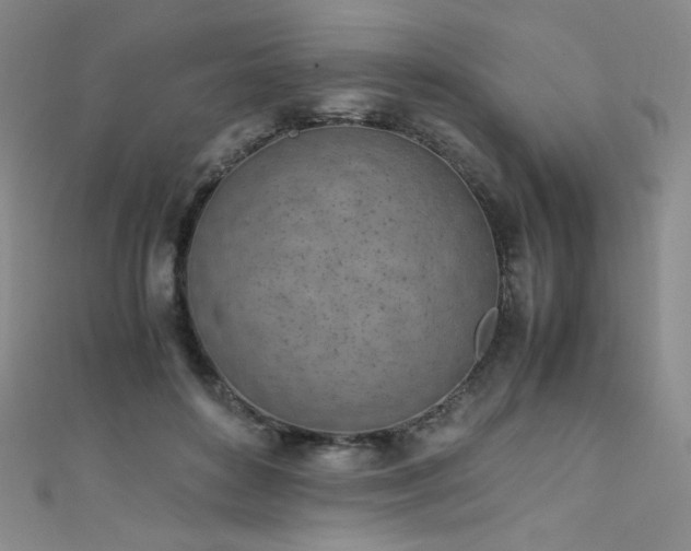 X0000111490504200907141241