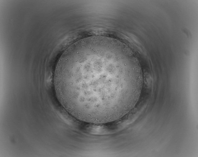X0000111490507200907141241