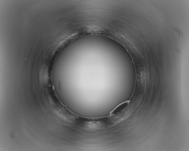 X0000111490508200907141241