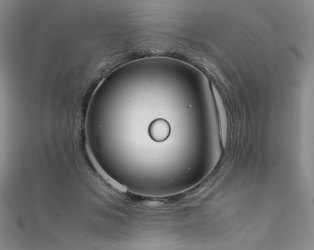 X0000111490509200907141241