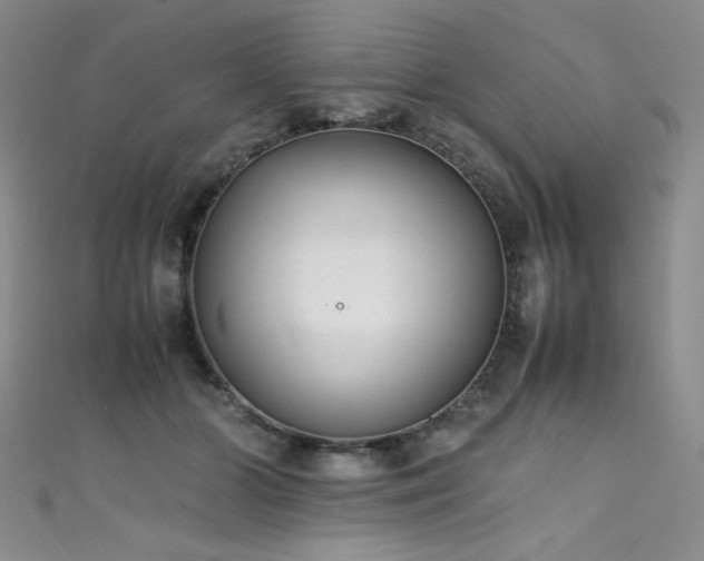 X0000111490510200907141241