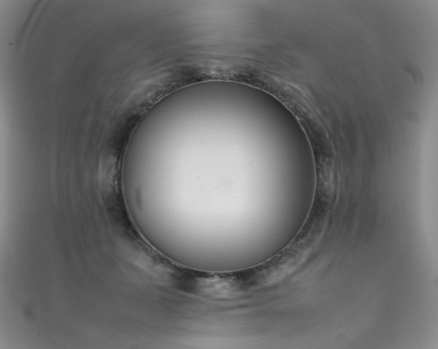 X0000111490511200907141241