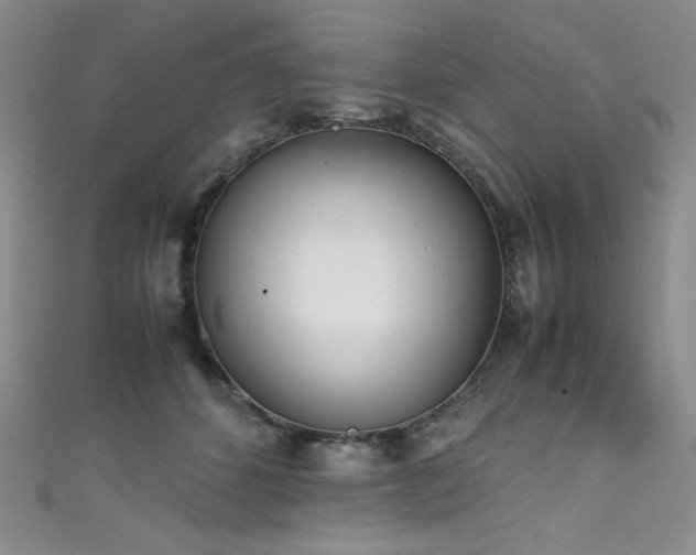 X0000111490512200907141241