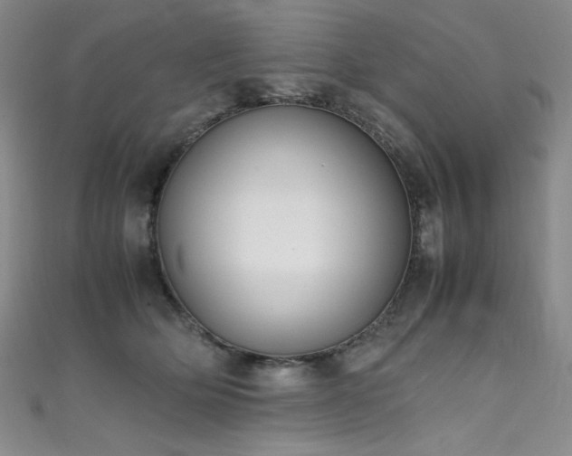 X0000111490514200907141241
