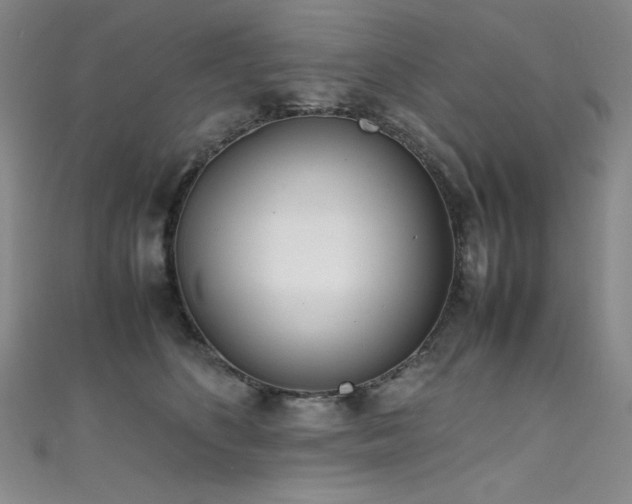 X0000111490516200907141241