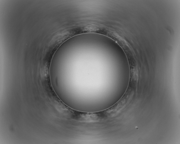 X0000111490517200907141241