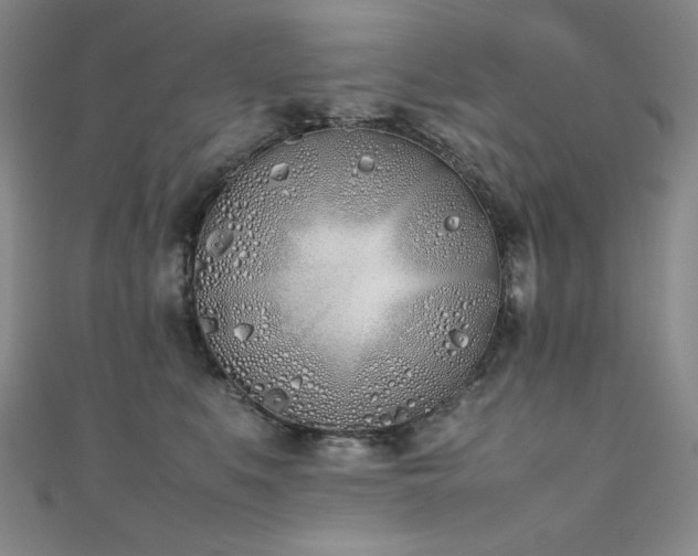 X0000111490519200907141241