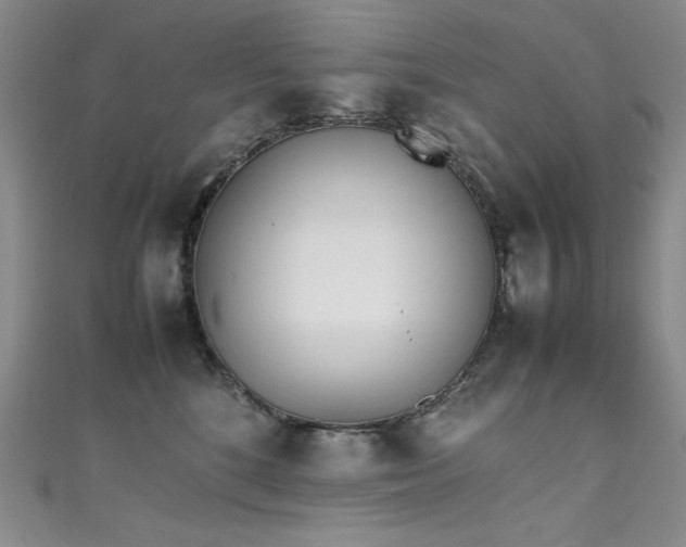 X0000111490520200907141241
